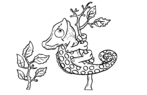 colorear 3